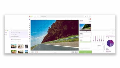 Innotescus Video and Image Annotation Platform Assisted
