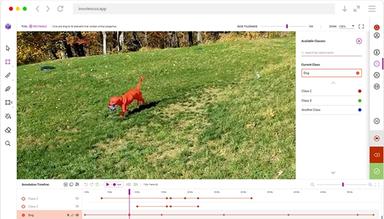 Innotescus Video and Image Annotation Platform Video Annotation