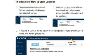 Jaxon.ai Labeling