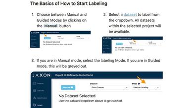 Jaxon.ai Labeling