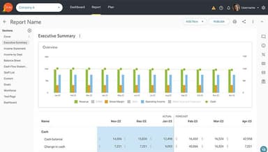Jirav Customizable reporting for your leadership team investors and stakeholders