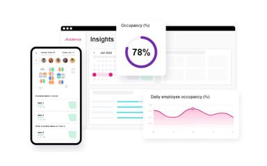 Kadence Insights