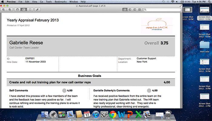 Kapta Performance Review Print Option