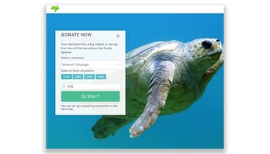 Kindful Donation Form