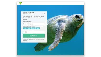 Kindful Donation Form