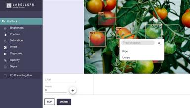 Labellerr Auto Label Image Files to Generate Object Detection AI Model