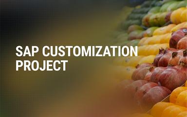 LeverX SAP Customization Project