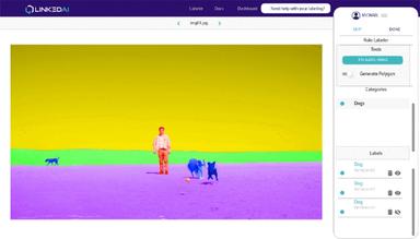 Linked AI Faster Labeling, Better Datasets