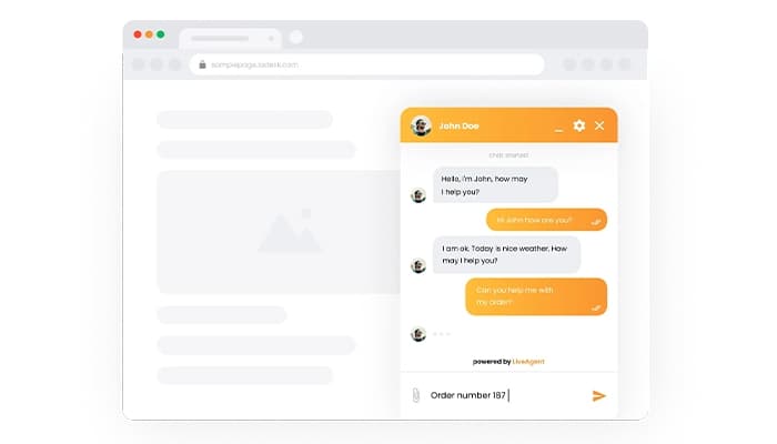 Live Agent Chat Customer View