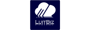 LuitBiz HRM