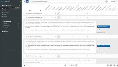 Luminance insight details