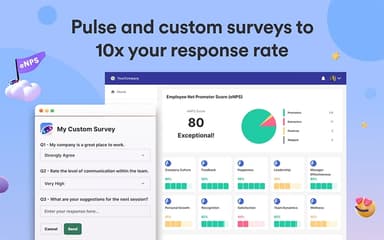 Matter Custom Surveys