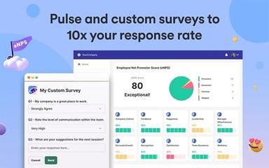 Matter Custom Surveys
