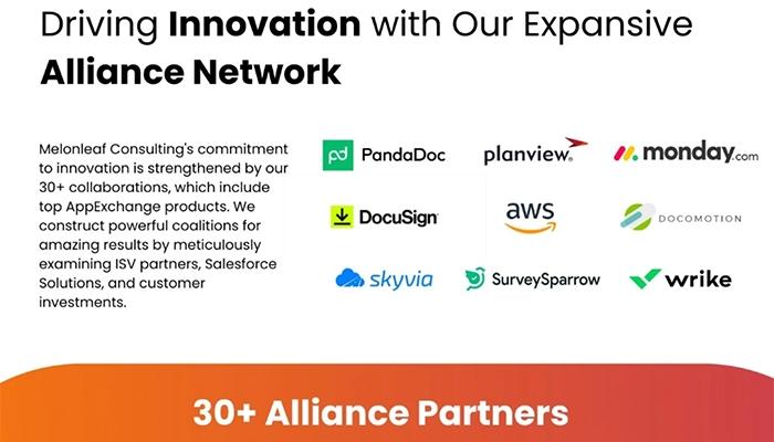 Melonleaf Consulting Driving Innovation