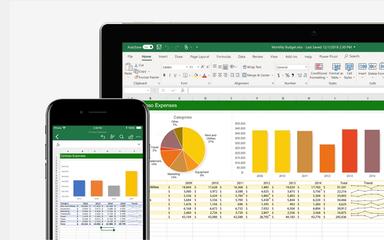 Microsoft Excel