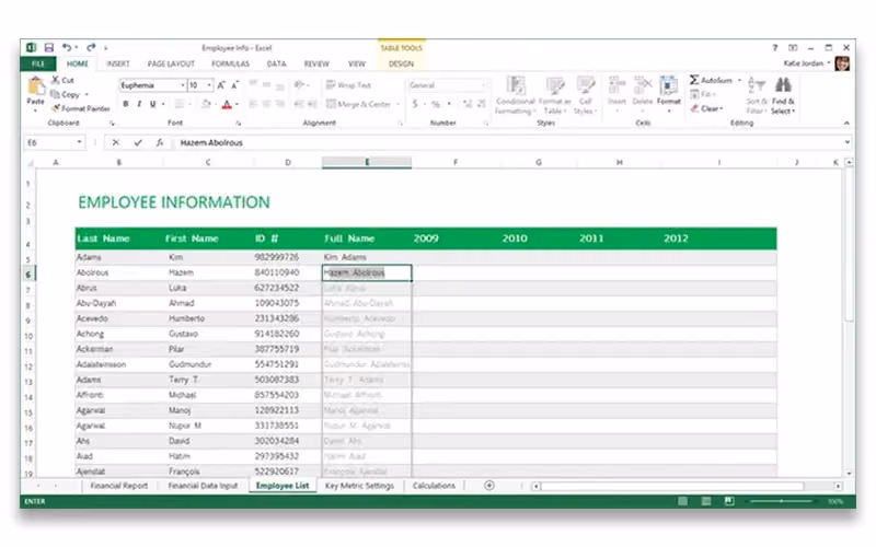 Excel Data Organization
