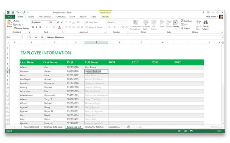 Excel Data Organization