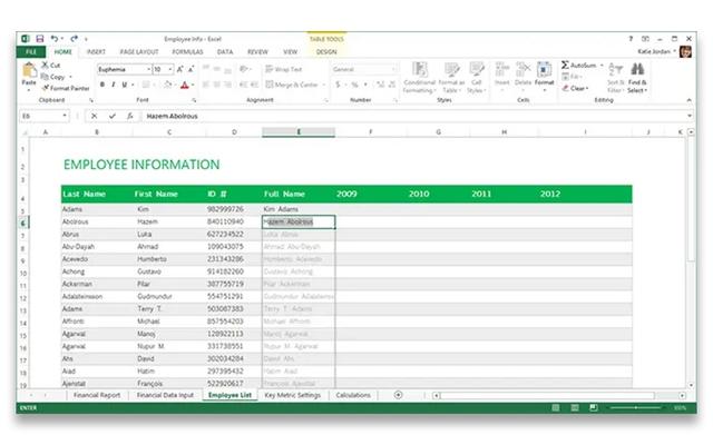 Microsoft Excel Software