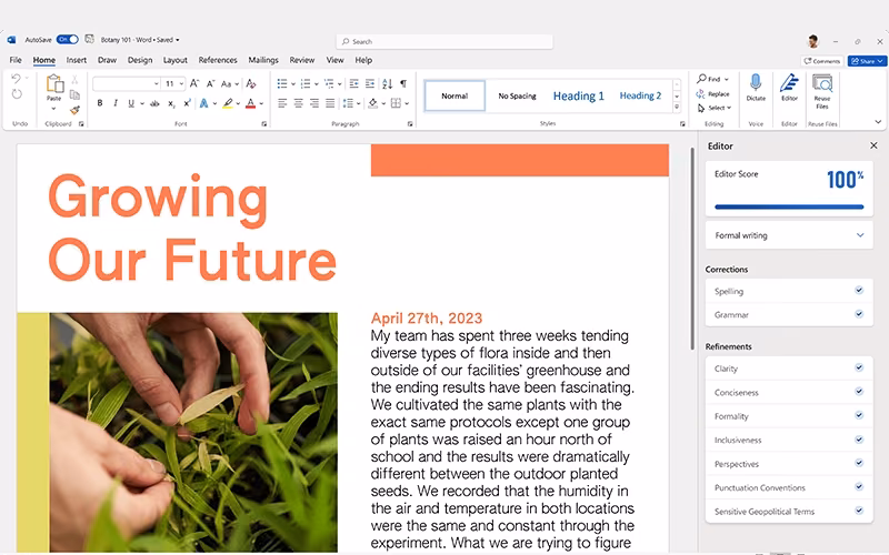 Microsoft Word