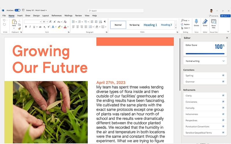 Microsoft Word