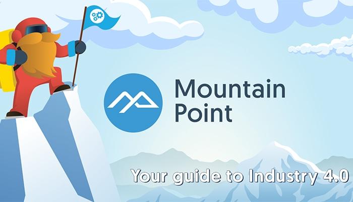 Mountain Point Consulting Industry Guide