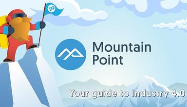 Mountain Point Consulting Industry Guide
