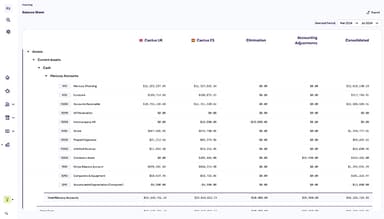 Rillet Software Multi Entity Consolidation