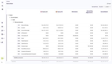 Rillet Software Multi Entity Consolidation