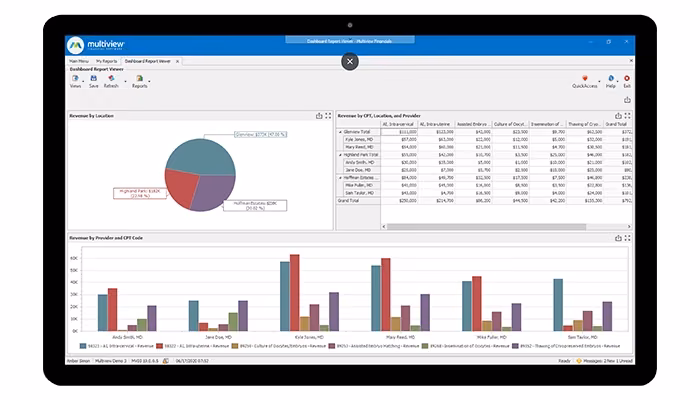 Multiview ERP Report Viewer