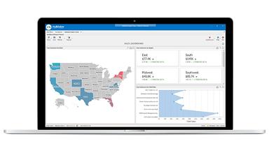 Multiview ERP Sales by Region