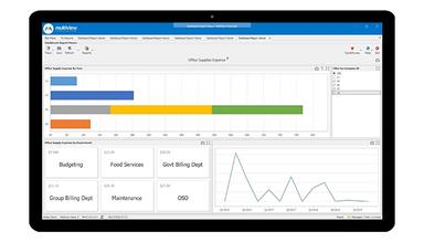 Multiview ERP Supply Expenses