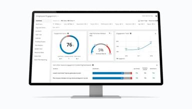 NTT DATA Consulting Services Human Capital Management Software