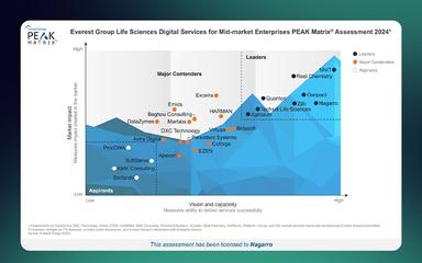 Nagarro Consulting Leadership in Digital Services