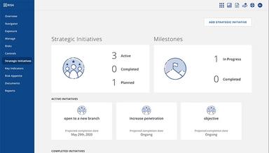 Nrisk Strategic Initiatives