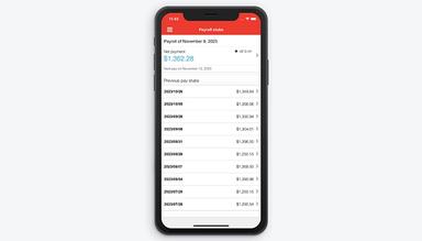 Nethris Payroll