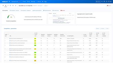 NeuronWriter competitors analysis