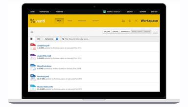 Cloud Storage and Data Room Services