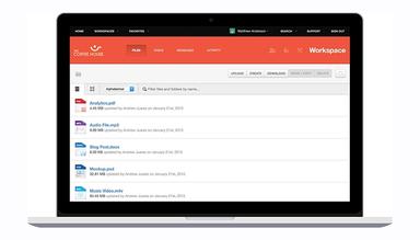 Cloud Storage and File Sharing
