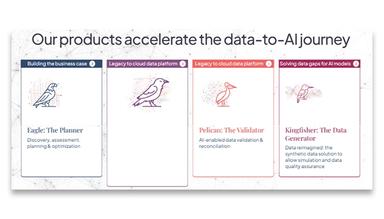 Onix Consulting Products