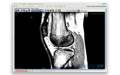 OpenKM DICOM Viewer