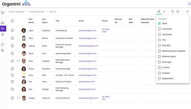 Org Chart View with Reporting Capability