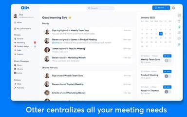Otter.ai Meetings