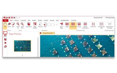 PDFescape Page Review