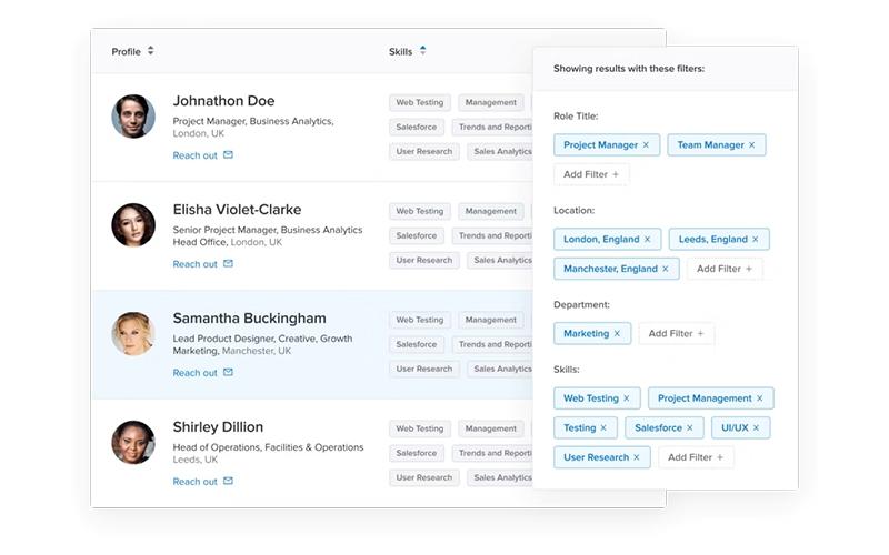 Paddle Employee Profile and Skills