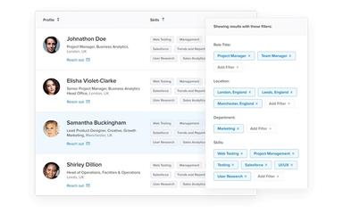 Paddle Employee Profile and Skills