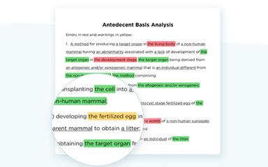 Patent Bots Basic Analysis