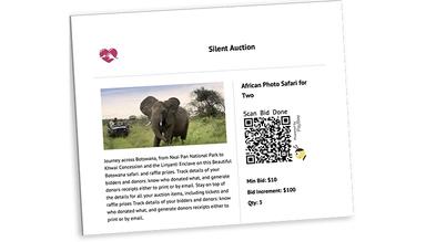 PayBee Automatic Silent Auction Item Sheets