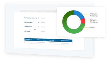 Pay Summary Screen
