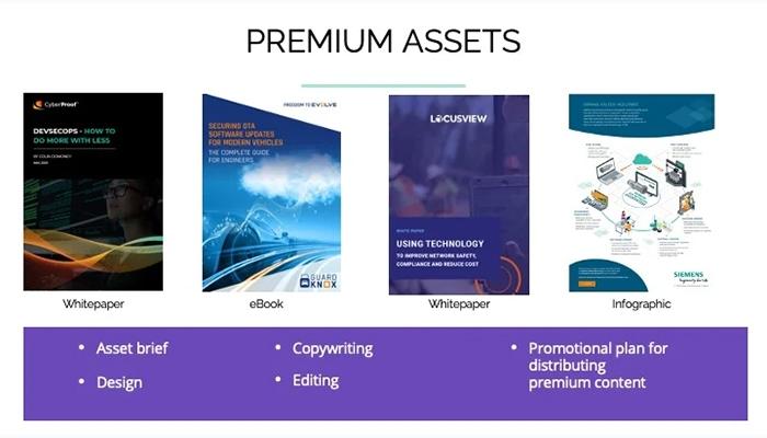 Penguin Strategies Premium Asset Examples