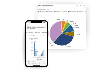 Peppermint Practice Management Active Organization Clients